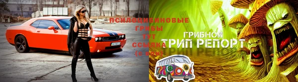 гашиш Баксан